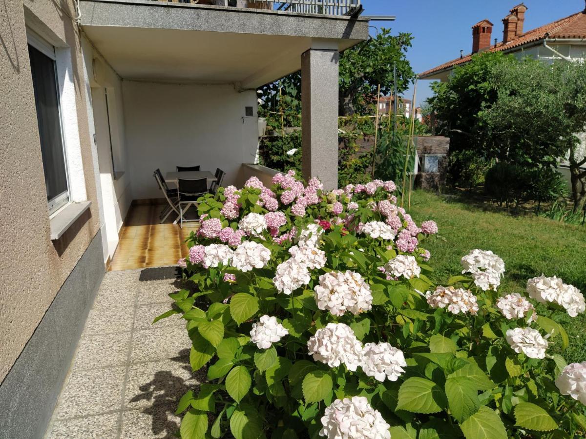Jagodje Apartments Buket מראה חיצוני תמונה